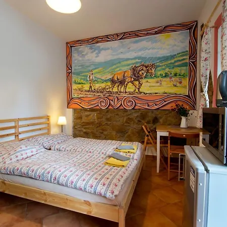Andelsky Dvur Guest house Svetce
