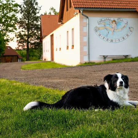 Gæstehus Andelsky Dvur 4*