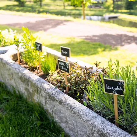 Andelsky Dvur Gæstehus 4*