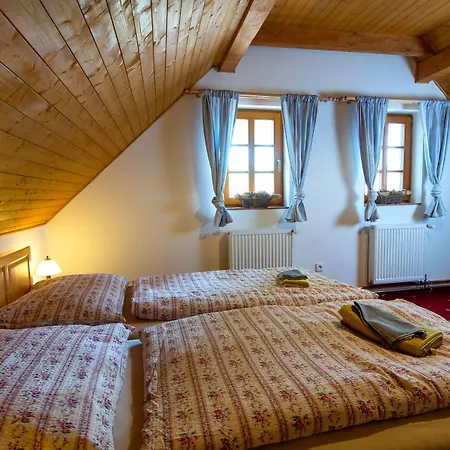 Guest house Andelsky Dvur 4*