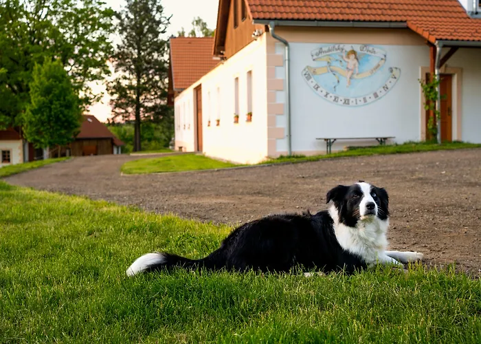 Vendégház Andelsky Dvur 4*
