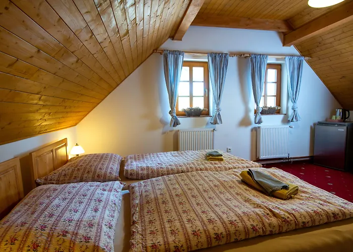 Vendégház Andelsky Dvur 4*